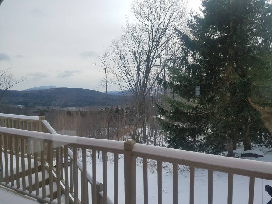 view from living room window