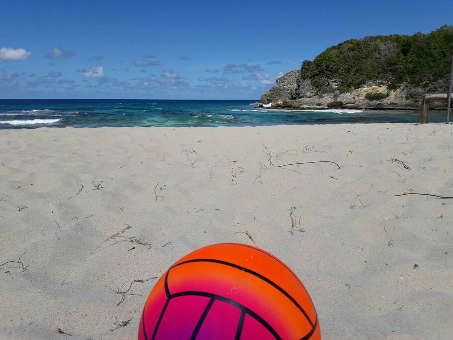 A proximité de la Plage du bourg de Sainte Anne .