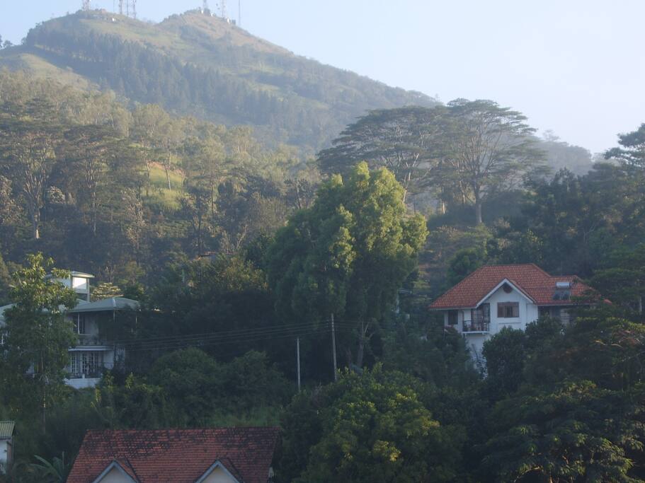 Beautiful Environment MVHH