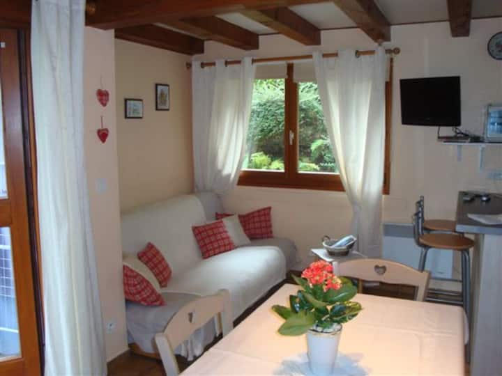 Pavillon Individuel Dans Un éCrin De Verdure - Kaysersberg