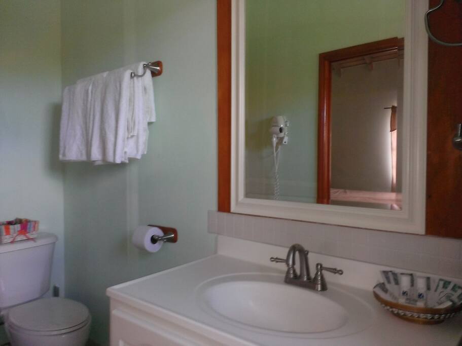 Bathroom vanity, mirror toilet etc