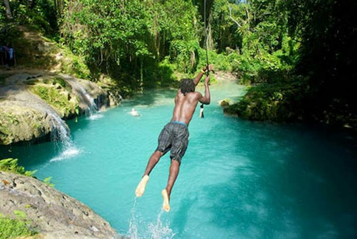 Explore  Gems of Ocho Rios & live like a local