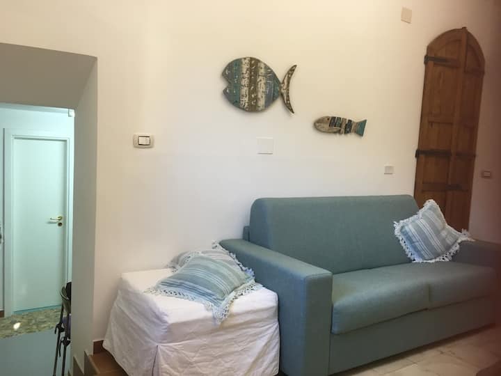 Apartment In The Center Just 10 Km From The Sea - Cilento