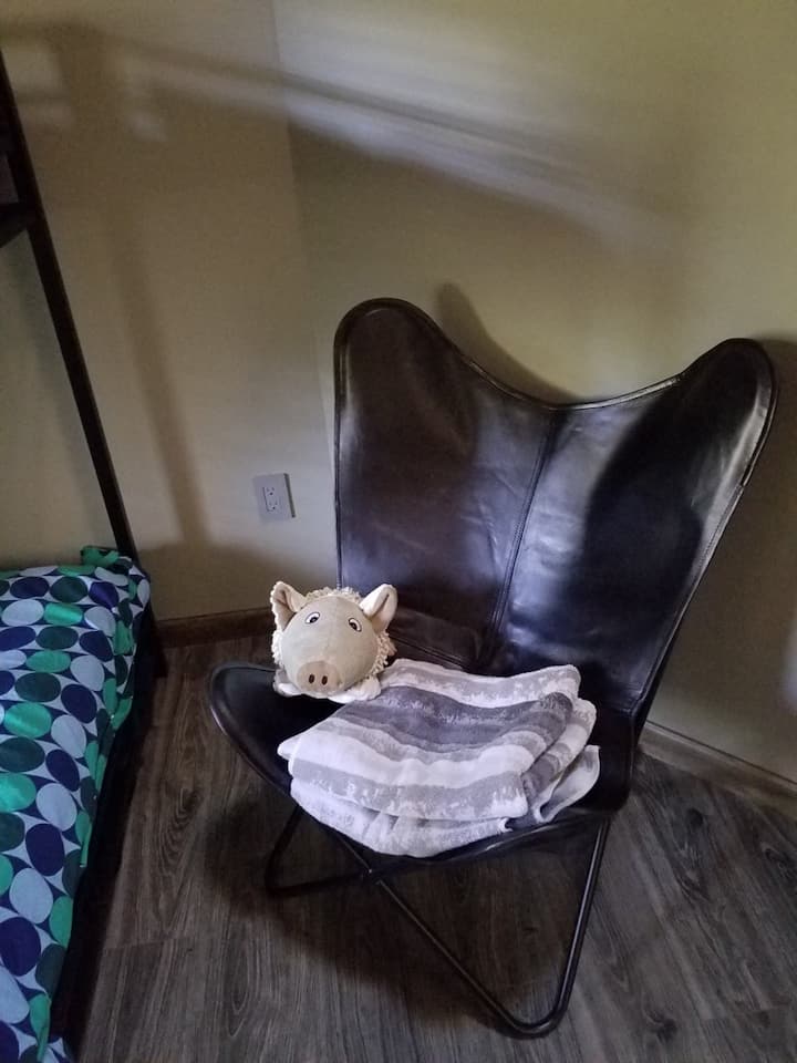 كرسي جلدي في غرفة النوم الصغيرة.