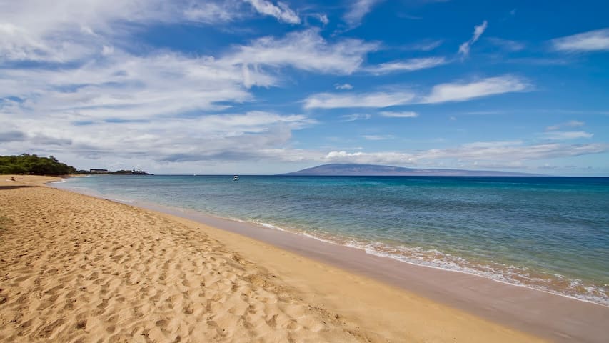 HONUA KAI FAMILY VALUE 2br/1ba - Don't miss!