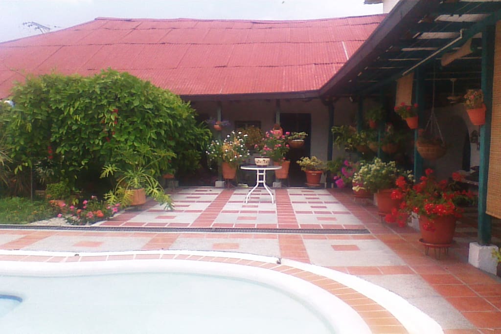 Amplio patio con jardines y piscina