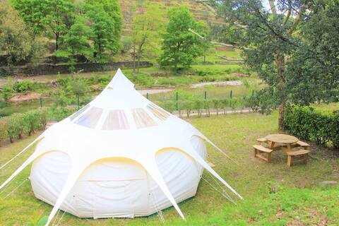 Family starry chestnut room