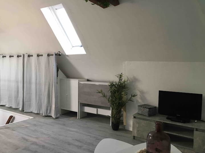 *Le Petit Cocon D'illkirch - Illkirch-Graffenstaden