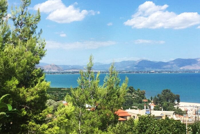 A scenic view of the sea is framed by greenery, with vibrant blue water reflecting the sky. In the background, distant mountains can be seen, adding depth to the landscape. The view encompasses a mix of lush fields and the coastline.