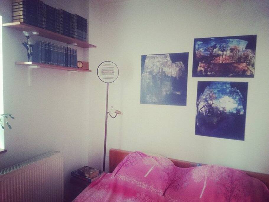 Bed area