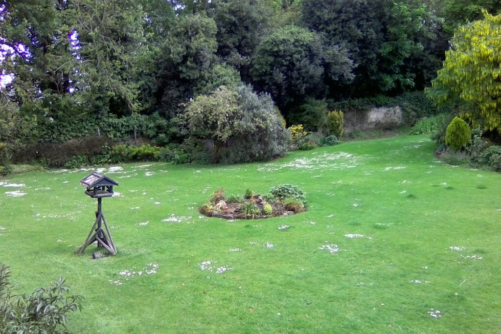 Private Back Garden