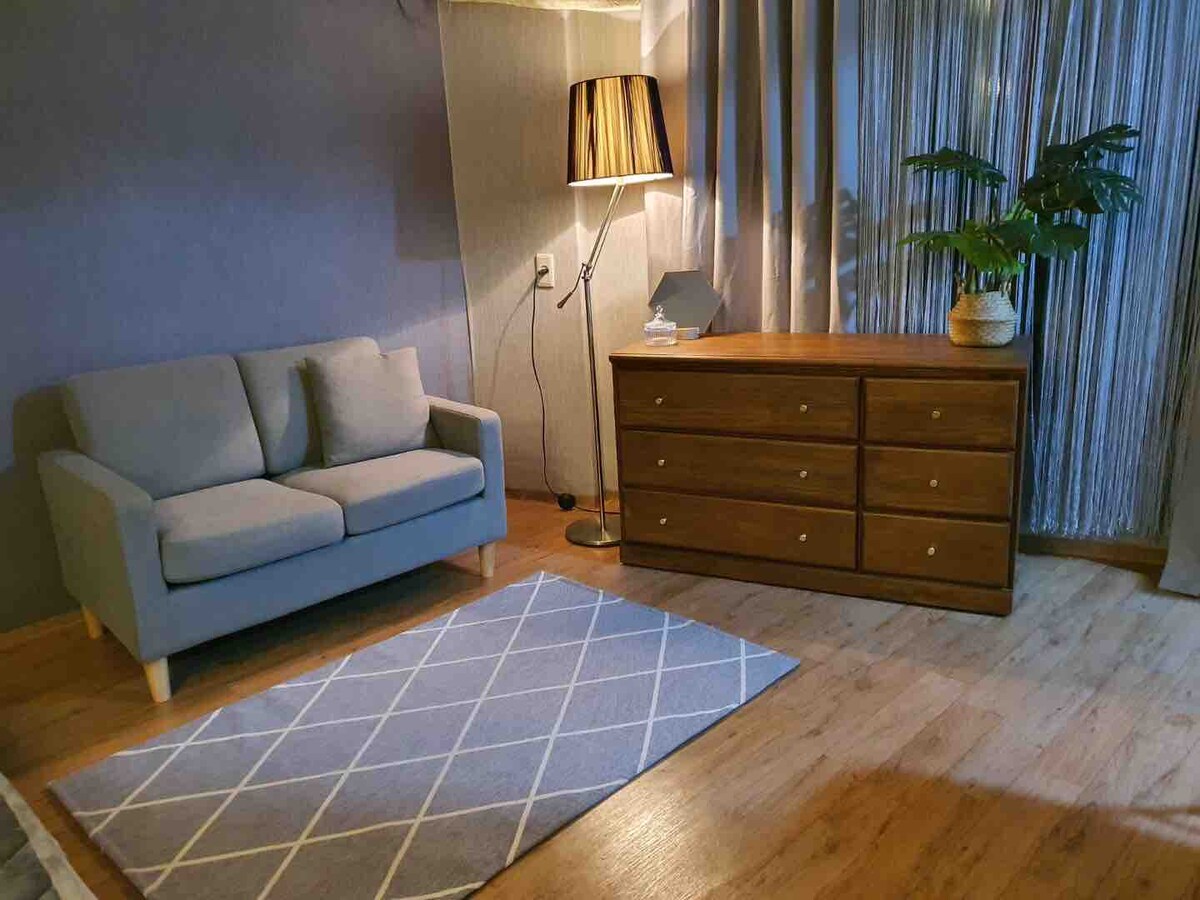 A comfortable seating area is furnished with a light blue couch and a wooden dresser. A striped area rug is placed on the warm wooden floor. Natural light filters through the sheer curtains, while a potted plant adds a touch of greenery.