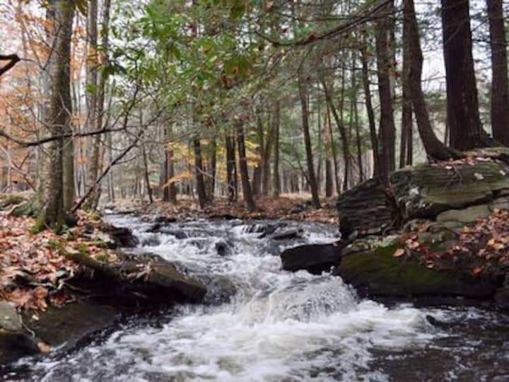 Fawn Lake Forest Holiday Rentals & Homes Lackawaxen Township, PA Airbnb