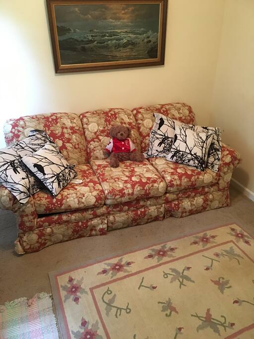 Queen size sofa bed