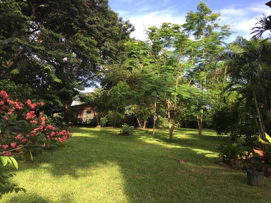 Zona verde