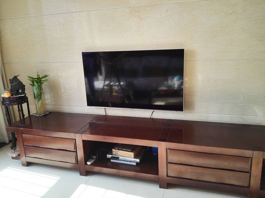 48"TV