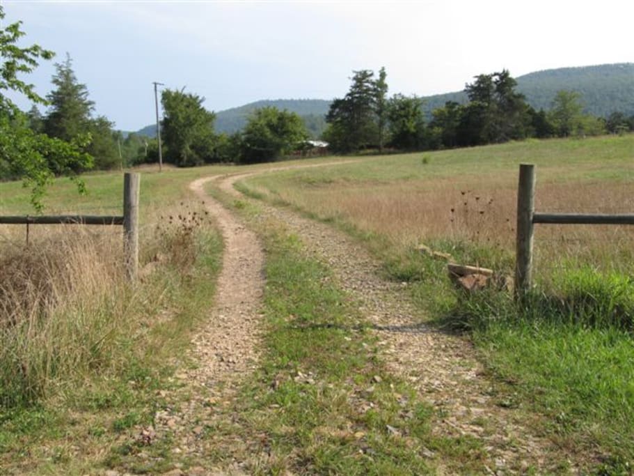 Driveway