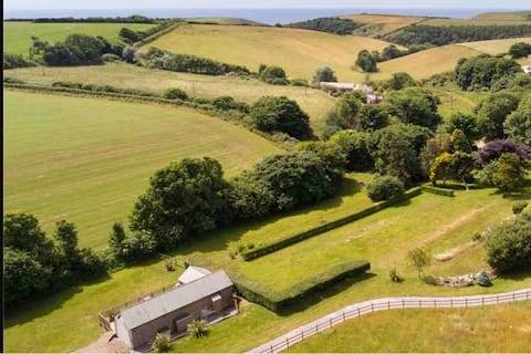 A fabulous and peaceful South Hams holiday lodge !