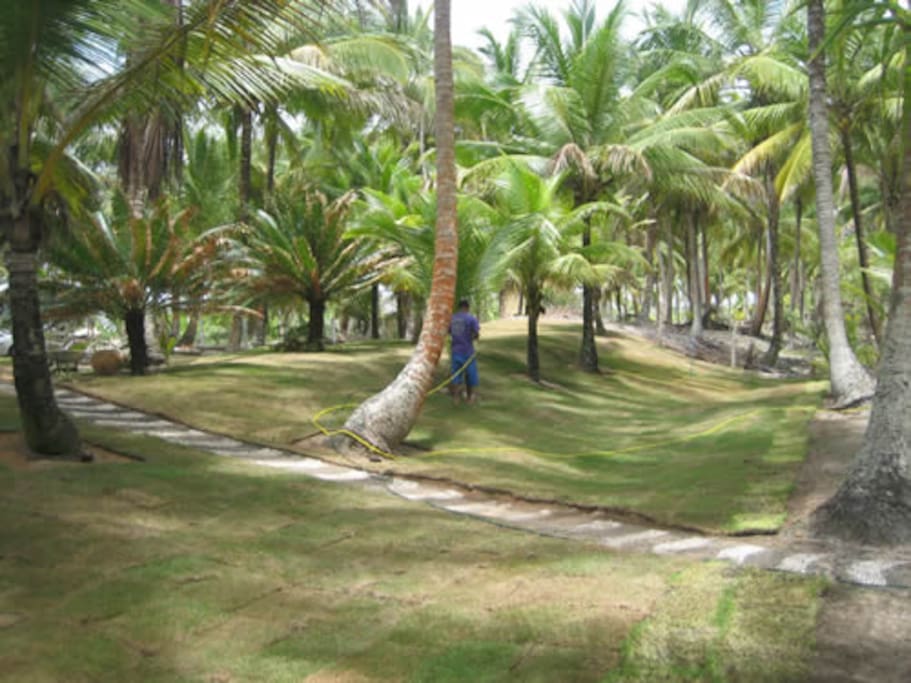 JARDINS