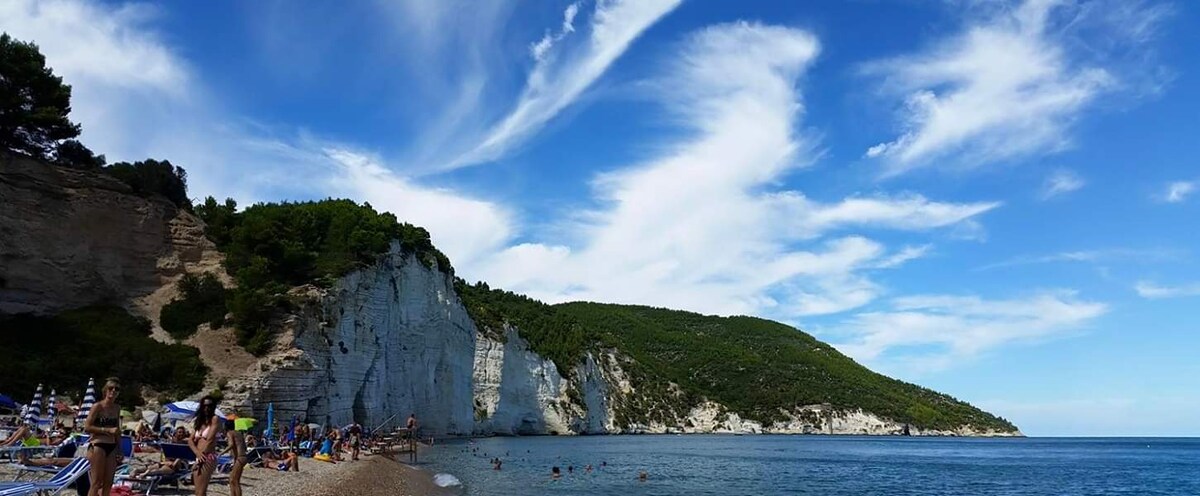 A scenic view of Vignanotica beach is displayed, featuring a sandy shoreline and clear water. Lush green cliffs rise in the background under a blue sky marked by wispy clouds. People are seen enjoying the beach, with sun loungers arranged along the shore.