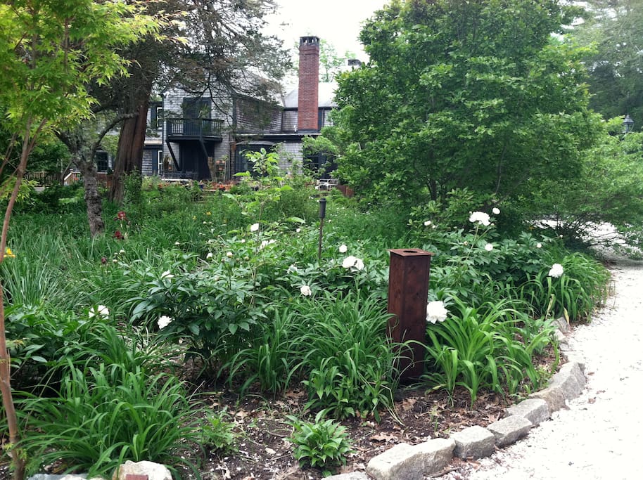 Spring 10,000 daffodils
