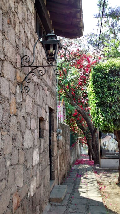 ENTRADA CASA