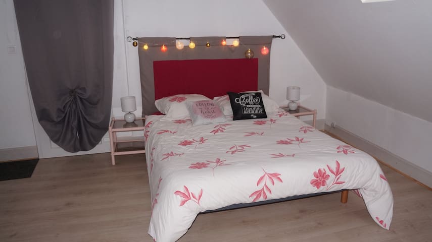 Private room with 1 bedrooms in Chartres - Jolie chambre avec salle d'eau privée