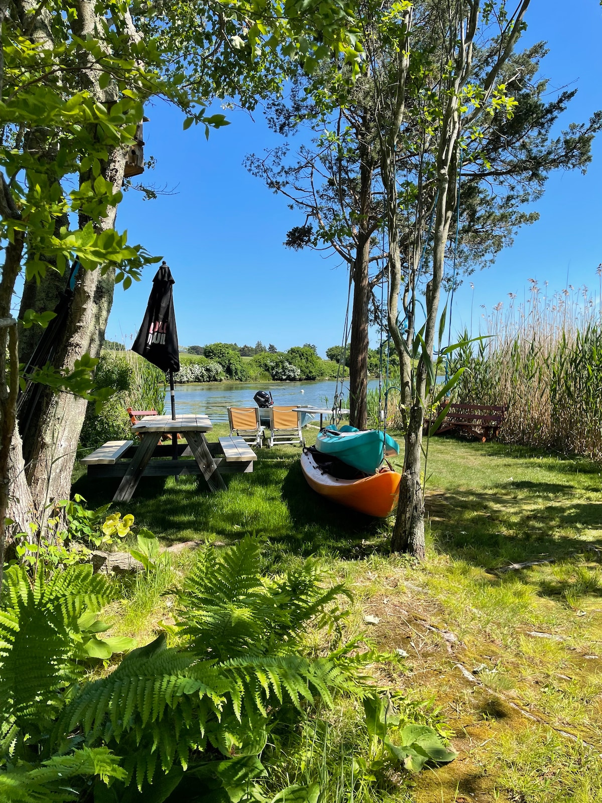 A serene outdoor space is framed by trees and lush greenery, featuring a kayak by the water's edge. The setting includes a picnic table and lounge chairs, with the tranquil view of the pond and tall grasses in the background under a clear blue sky.