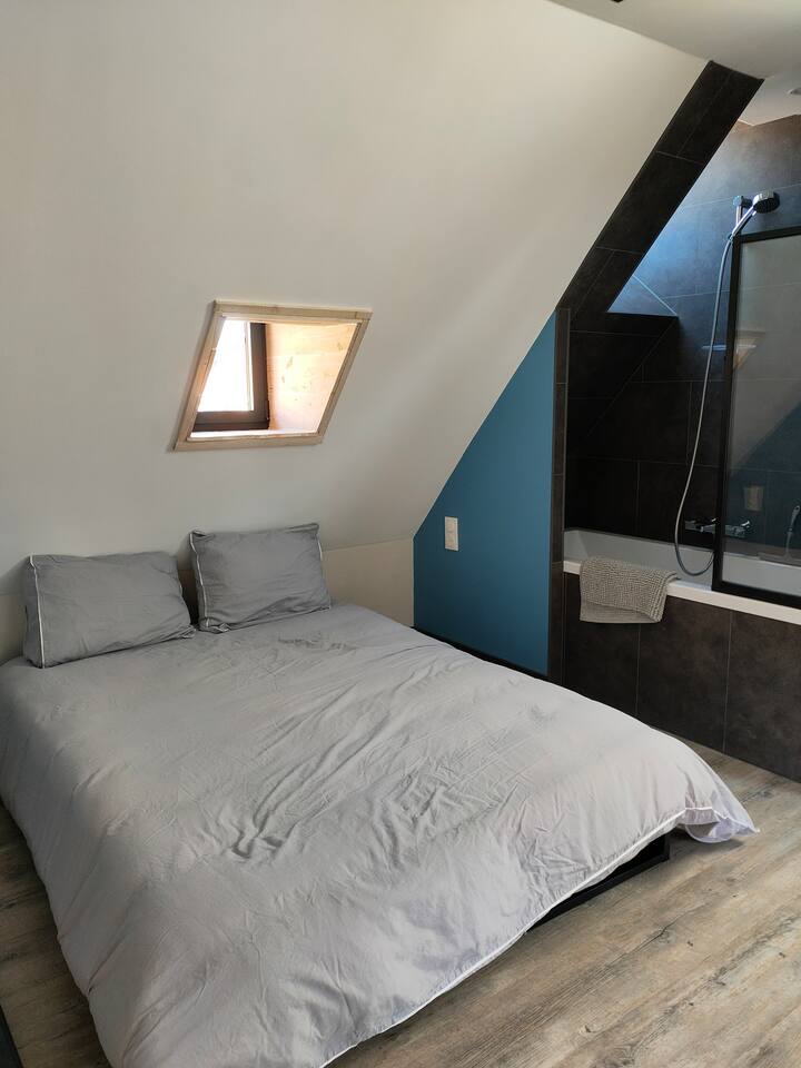 Habitación 1
