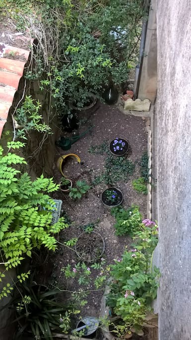 Une partie du jardin