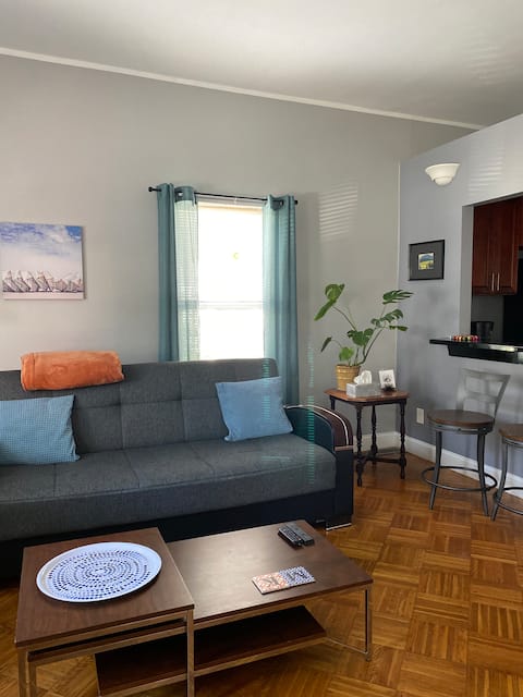 Successful Airbnb property: Apartment 1BR mins from JFK/UMASS free parking in Dorchester