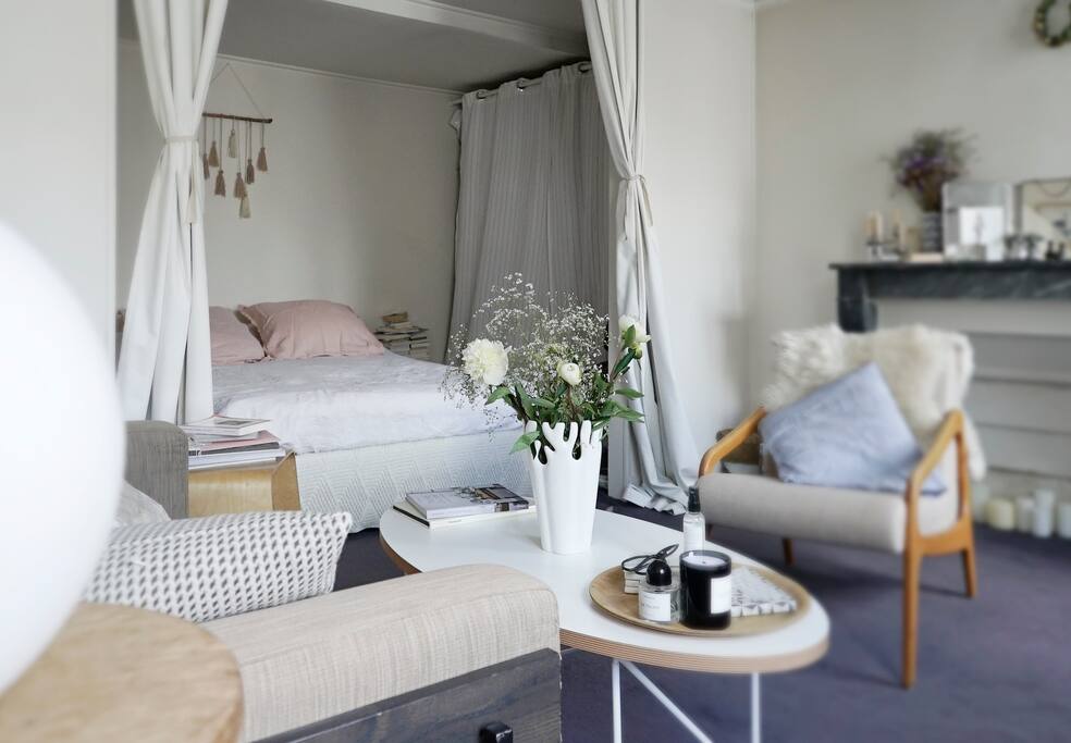SALON - CHAMBRE ALCOVE
