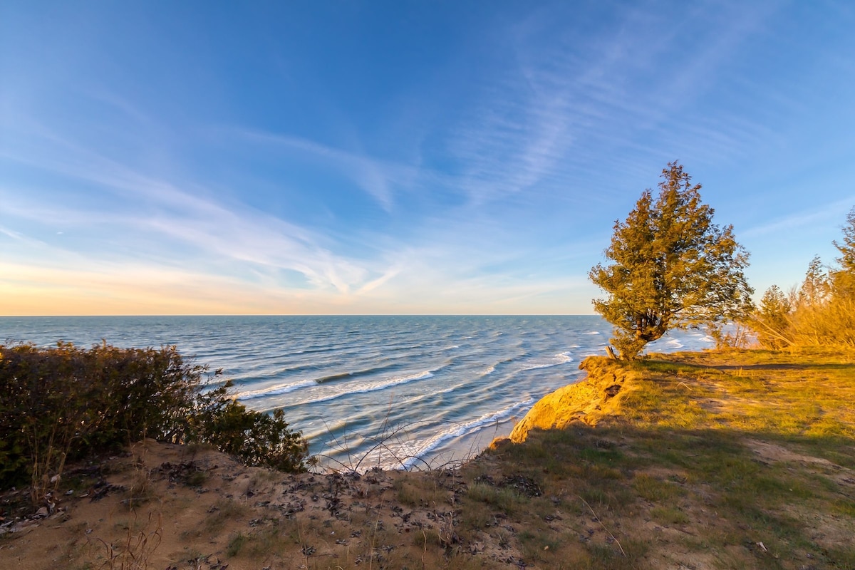 A tranquil coastal view of Lake Michigan showcases gentle waves lapping against the shore. Overlooking the water, a lone tree stands on the edge of a sandy bluff, surrounded by sparse vegetation and grassy areas, under a clear blue sky with soft clouds.