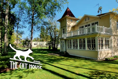 The Cat house - pearl of historical architecture