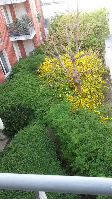 Vue de la chambre sur le jardin.
