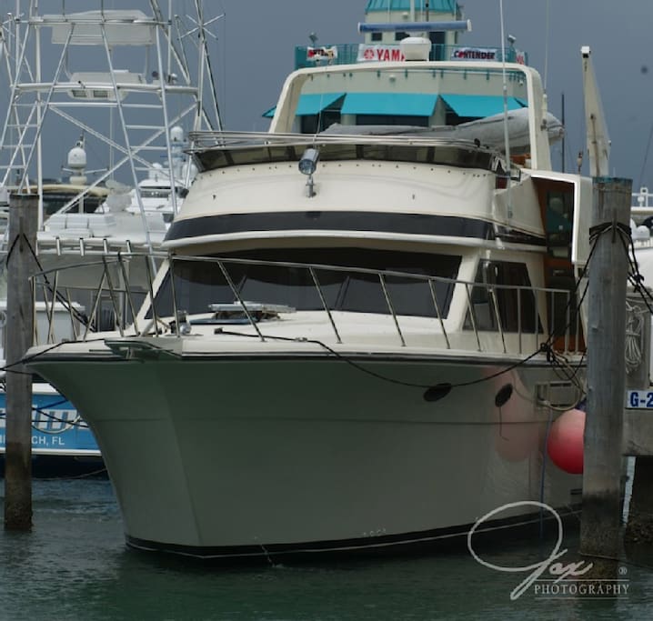 Unplug aboard Unplugged South Beach
