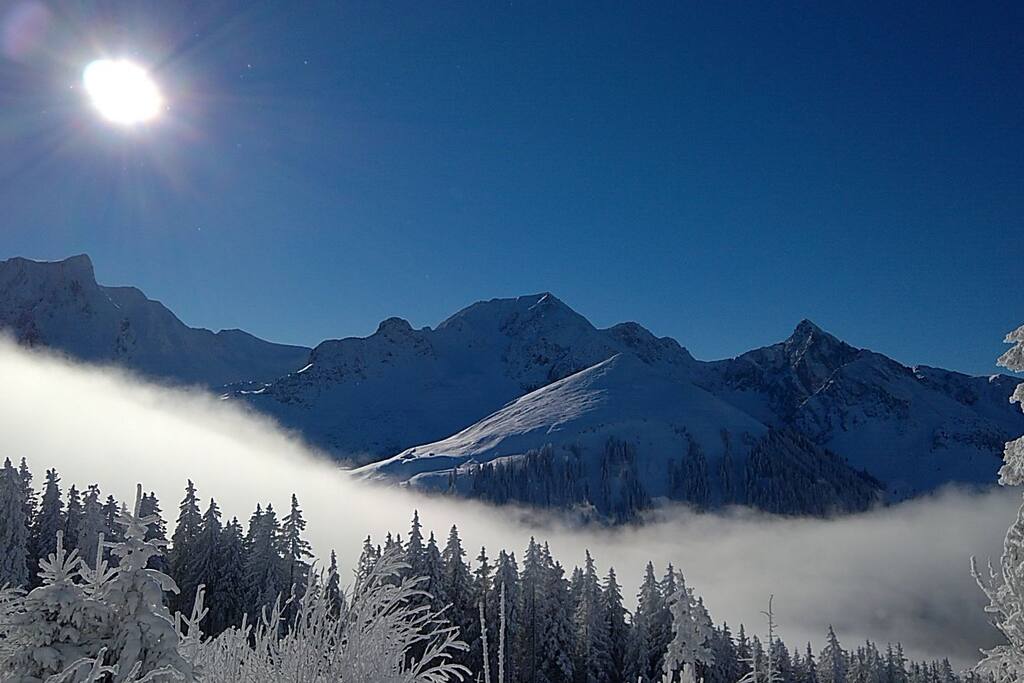 Aussicht auf die Berge im Winter/ View over the mountains in winter