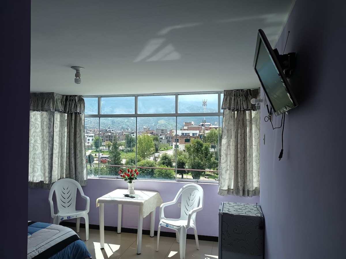 A bright room features large windows offering a view of the park and surrounding area. Two white chairs and a small table are positioned near the window. A television is mounted on the wall, and a chest serves as additional storage.