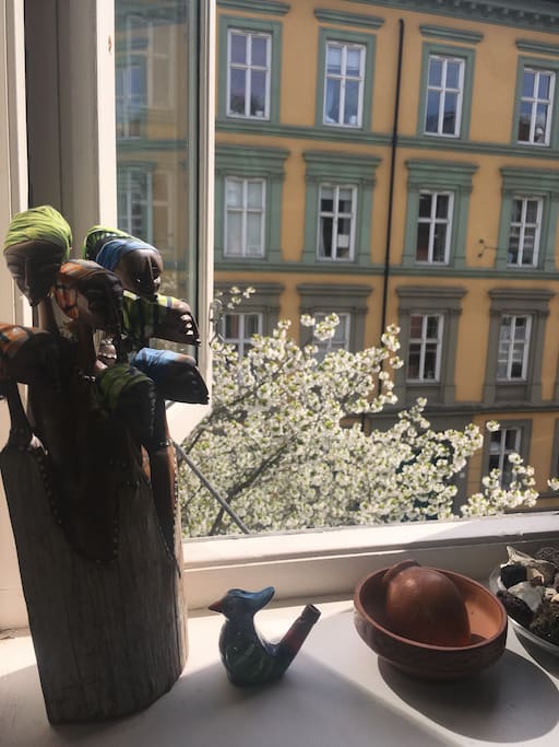 View from living room