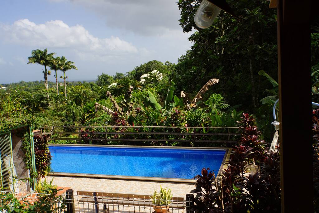 Piscine 9 m x 4 m, traitée au sel