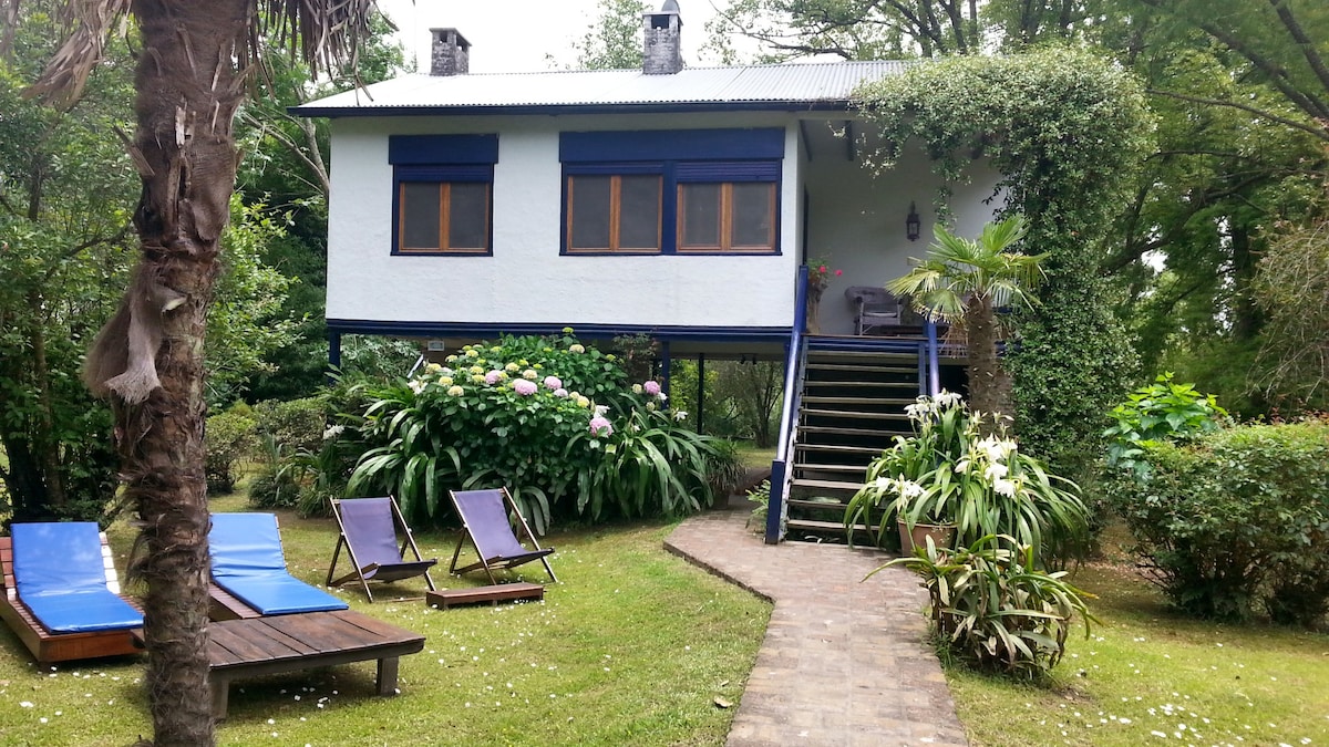 A two-story house is surrounded by lush greenery, featuring a sloped pathway leading to the entrance. Two lounge chairs are placed on the grass, with a wooden deck adjacent to the house. Large windows provide views of the serene natural landscape.