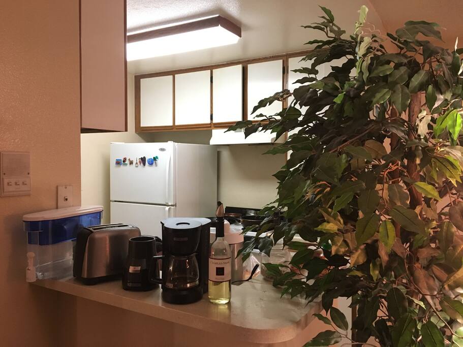 Shared kitchen