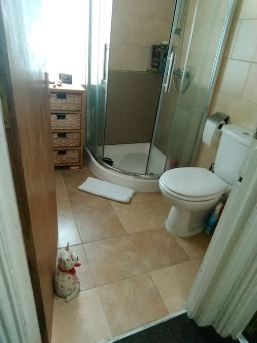 Bathroom1