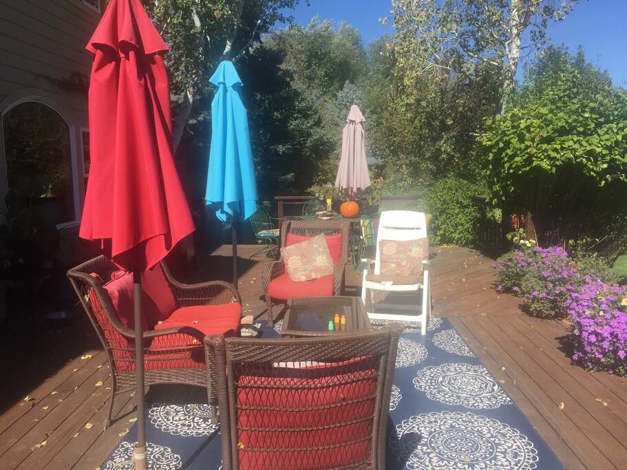 Backyard patio for happy hour