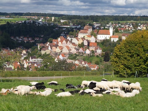 B&B Langkamp-1 in Altensteig, Black Forest