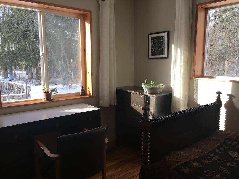 Late afternoon natural light in winter