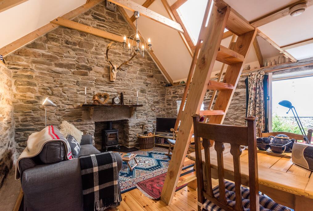 open plan living area with multi fuel stove