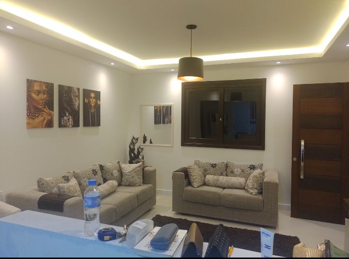 A modern living room is portrayed with two comfortable sofas adorned with decorative pillows. Framed artwork and a mirror are displayed on the walls. A stylish light fixture hangs from the ceiling, and a wooden door provides access to the exterior.