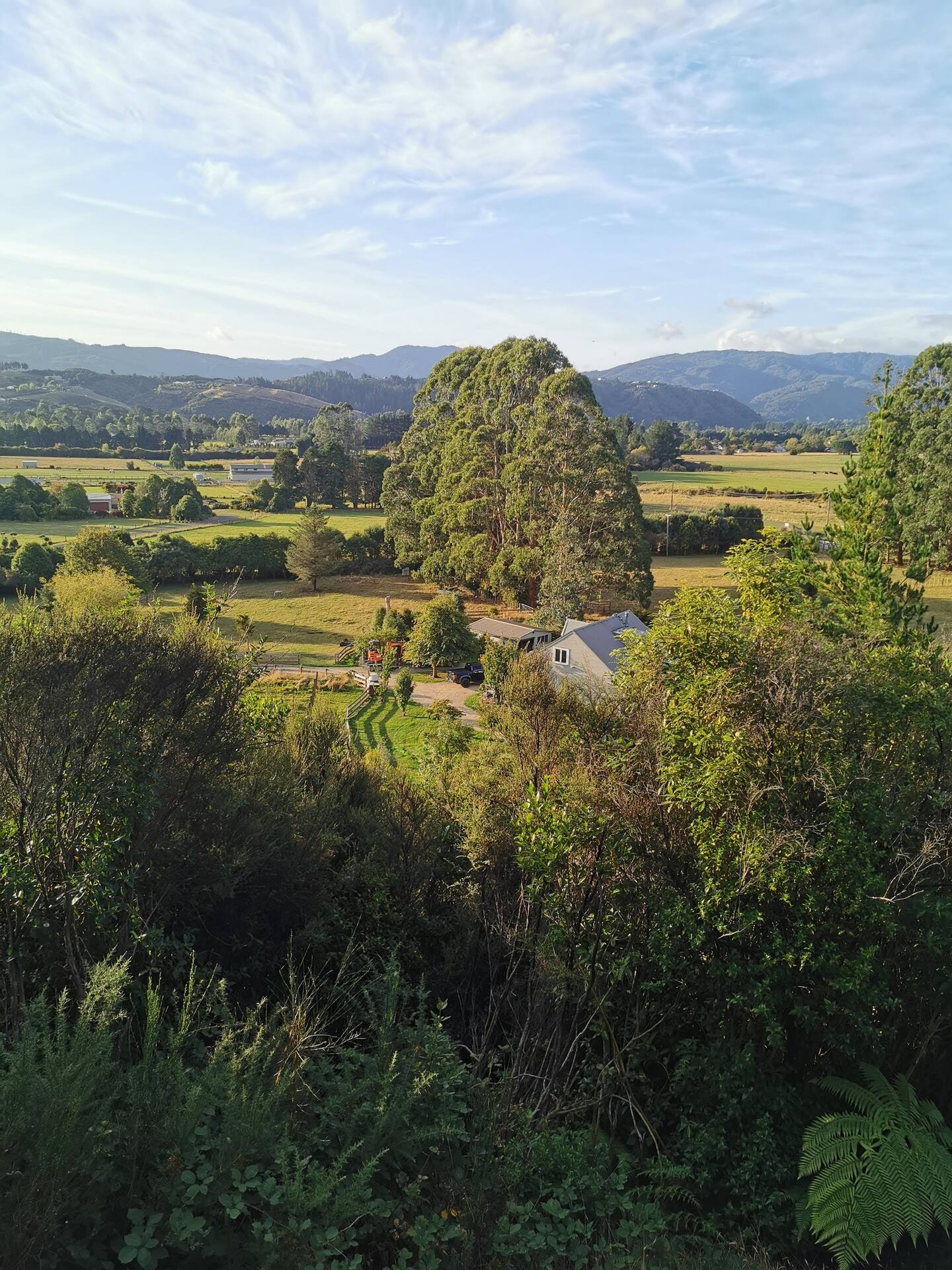 Beautiful Cosy Lodge With Stunning Rural Views 4