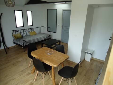 Contemporary apartment 45m2